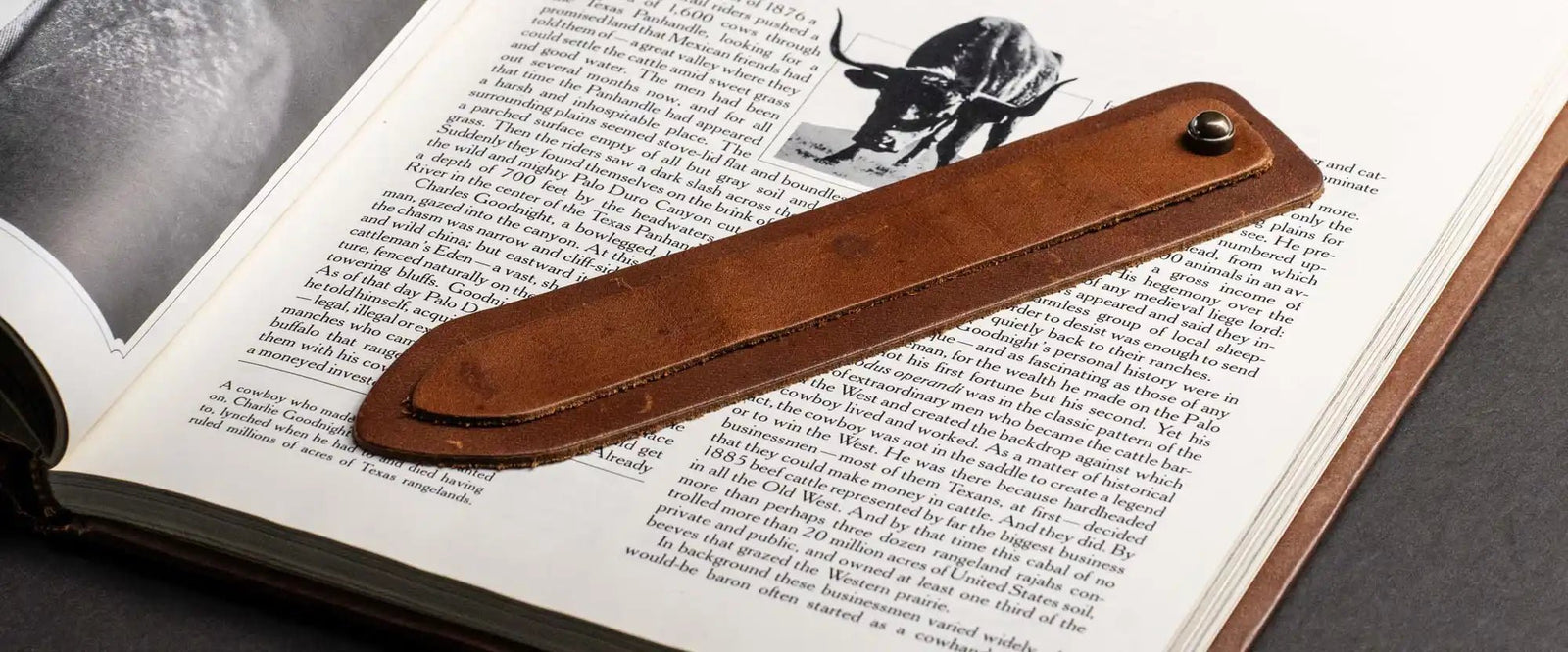 Bookmarks 2025 - Holtz Leather