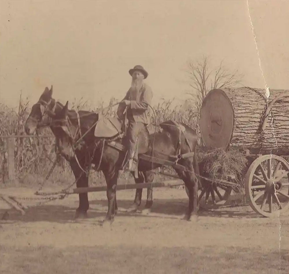 Sepia historical photo of two horse-drawn wagons, a mounted rider, and a large log load traveling through a rural landscape.