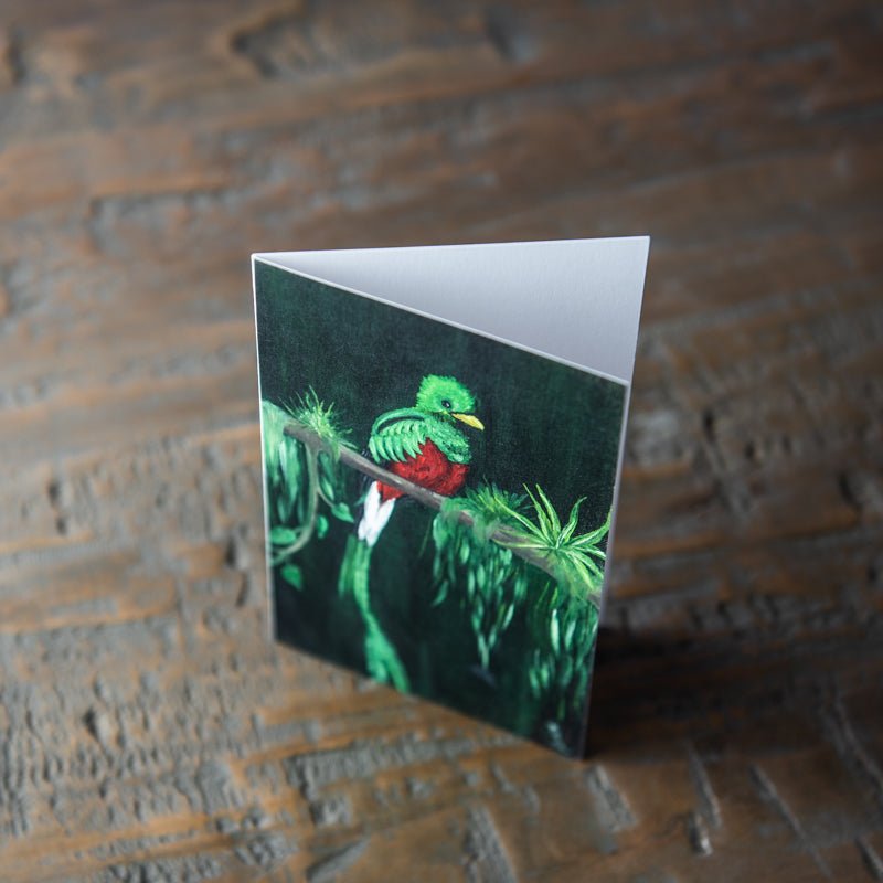 Tropical Bird Stationery Set Of 4 By Madison Holtz Butler - Holtz Leather